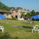 담주할머니 이미지