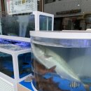 싱싱회종합어시장 이미지