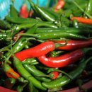 반딧불마트 이미지