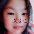 김태식 복싱클럽 이미지