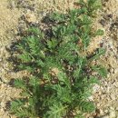 도연농원 이미지