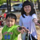 리버힐즈 캠핑장(푸른농원) 이미지