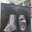 패스트본정형외과의원 이미지