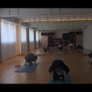 요가(오전) 이미지