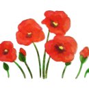 불광1-031 이미지