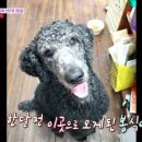 김미경농장 이미지