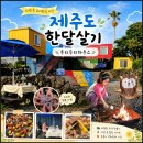 제주도 한달살기 숙소 비용 제주 한달살기 숙소 혼자도 좋은 우리두리하우스