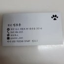 퍼피루스 이미지