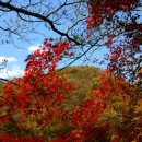 이동원의 가을 편지 이미지