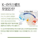 가나인력종합개발