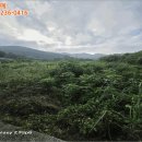 구산면418 네이버블로그