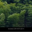예일태권도장 이미지