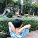 판다제이