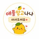 메드서비스 | [안양]범계 메드포갈릭 내돈내산 후기｜안양 평촌 맛집 추천