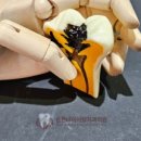 내이치과의원 이미지