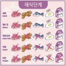 페스코 이미지
