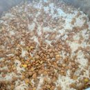 콩밥밥 | 저속노화밥 렌틸콩밥 비율 하는법