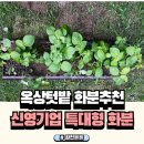 신영농장 | 베란다텃밭이나 옥상텃밭 하기좋은 신영기업 특대형화분