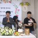 백일 웹이코노미