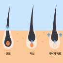 유포리아의원 이미지