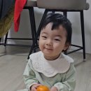 윤우농장 네이버블로그