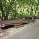 [경남 거창] 금원산 자연휴양림 숲속의 집 11호 13인실 숙박 후기 🌲