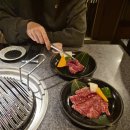 연세결성형외과의원 | 눈밑지방재배치를 직접 해보고 느낀 점 정리(만족도, 회복기간등등) 서면성형외과