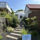 도록도록 민박 | 제주 동쪽 감성숙소: 도록도록 안채 (내돈내산) 🏡