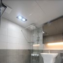 국화동성 이미지