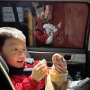 태인어린이집 | 2025년 10월 20일 ~ 26일