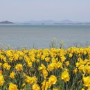 유케어종합동물병원 이미지