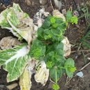 구억농장 이미지