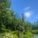 더숲요양병원 이미지