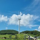 육백마지기 이미지