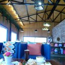 아콘트리 이미지