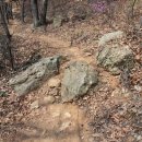 공지산 둘레길 이미지