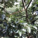 못안마을 이미지