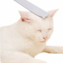 힐링그루밍 쇼핑하우