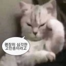 은영이네 포차가맥 (인후동맛집)