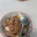 Peace | 25 dmz peace train festival 후기..