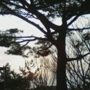 연지치안센터 이미지