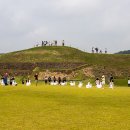 2022.9.17.(토) 연천 호로고루 해바라기 축제/연천 댑싸리공원 꽃 축제 이미지