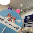 올리스24기장점 이미지