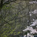 흥국사길 이미지