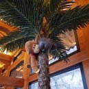 신현종합정비공장 이미지