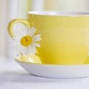 숲속의사랑별 이미지