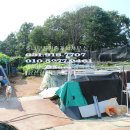 전원애견 이미지