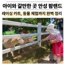 안성 팜랜드 레이싱 카트 후기, 아이와 갈 만한 곳 동물 체험까지 완벽 정리