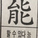 돈파민