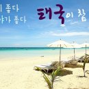 파타야 - 화성시 동화길 93-6 | 파타야